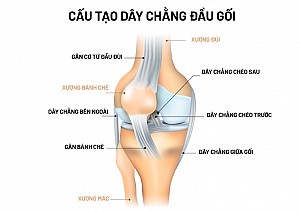 GIÃN DÂY CHẰNG ĐẦU GỐI - CÁCH ĐIỀU TRỊ