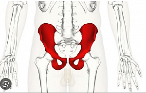 HỘI CHỨNG CHẠM KHỚP HÁNG: NHỮNG ĐIỀU CẦN BIẾT