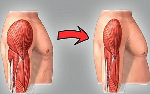 Mất cơ sau tuổi 30: Nguy cơ bạn không ngờ tới
