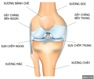 ĐỊNH HƯỚNG MỘT SỐ BỆNH CÓ TỔN THƯƠNG KHỚP GỐI